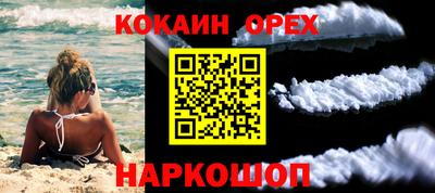 apvp Можга