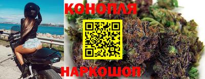 apvp Можга