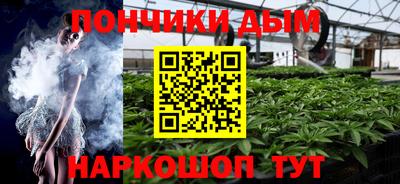 apvp Можга