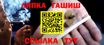 apvp Можга