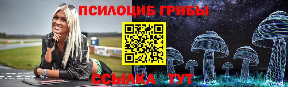 Псилоцибиновые грибы Psilocybe  Галлюциногенные грибы ЛСД  Вход с VPN  Трёхгорный 