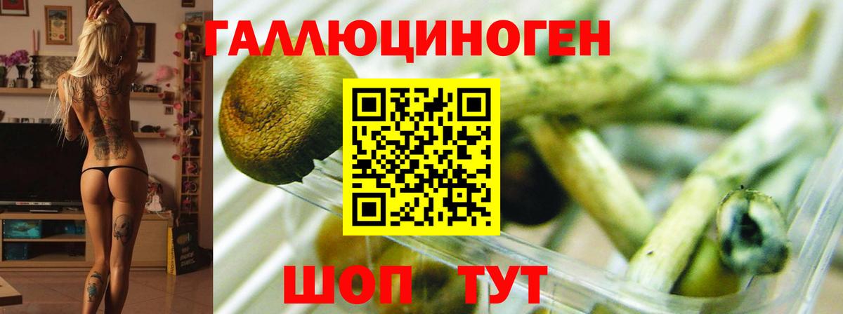 Галлюциногенные грибы ЛСД Трёхгорный